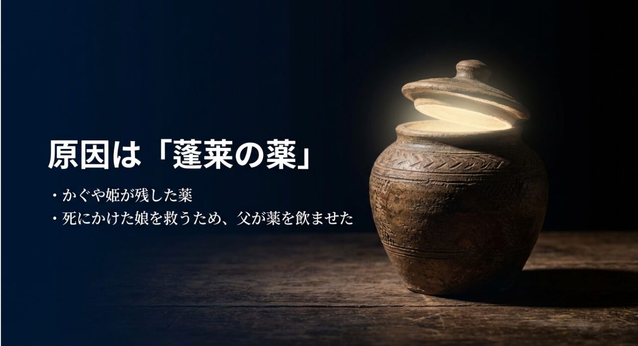 かぐや姫が残した蓬莱の薬を、死にかけた娘（司）を救うために父が飲ませた経緯を解説する図解
