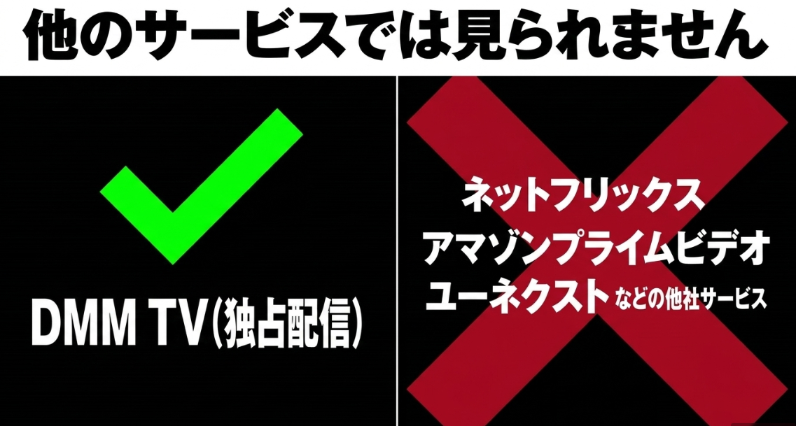 幸せカナコの殺し屋生活2はDMM TVで独占配信、他サービスでは見られません